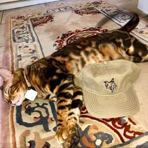 Custom trip cat hats dad hat vintage hype